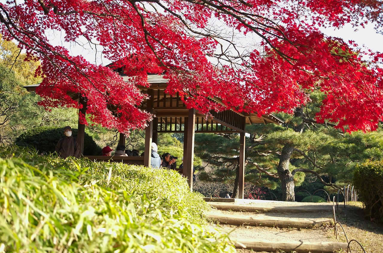 외국인에게 인기 있는 일본의 관광지 #2