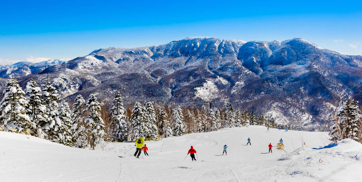 Enjoy Winter in Japan! Top 5 Places to Ski
