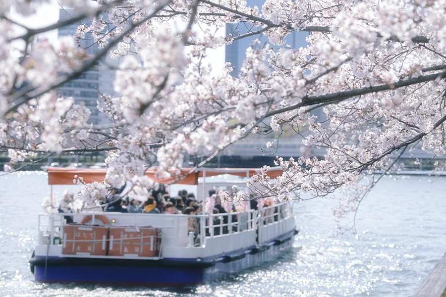 Take a river cruise on the Okawa River