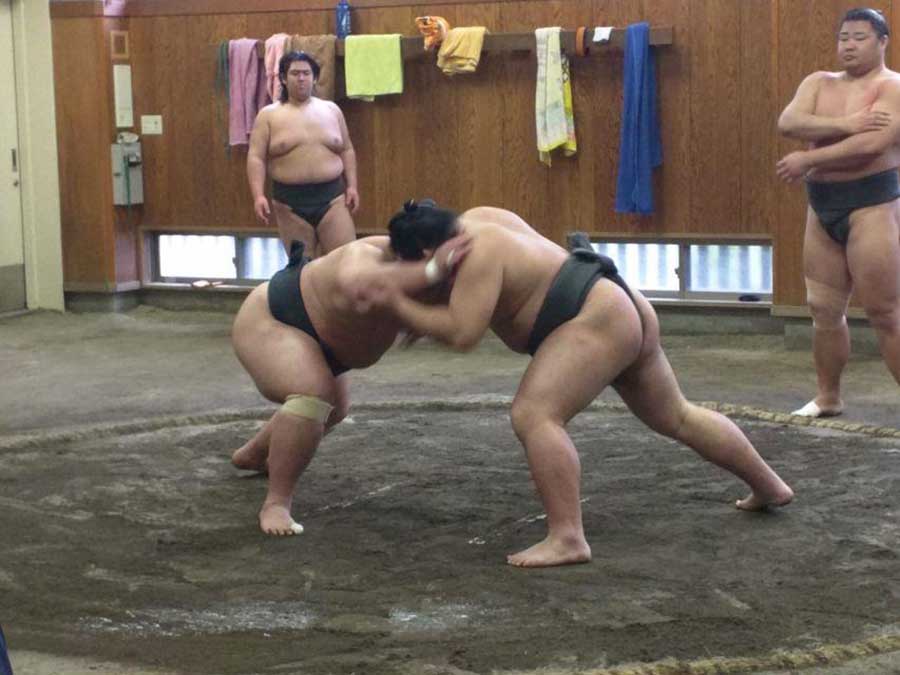 Meet the Sumo wrestlers