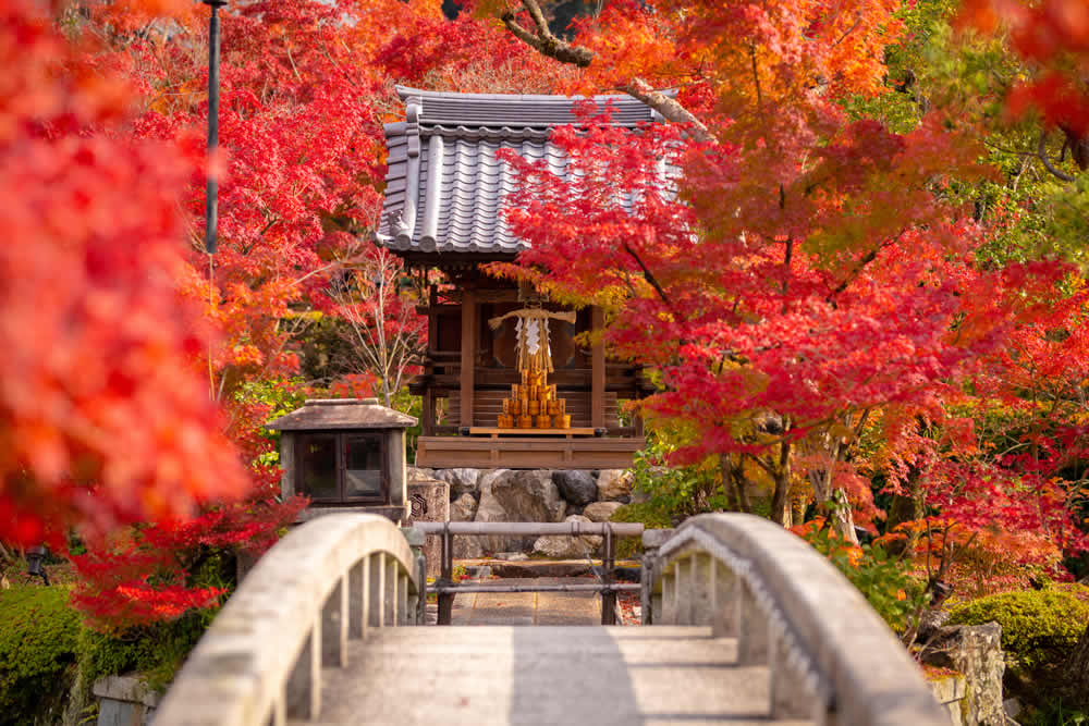 Things to do in Kyoto – 20 ideas to fully experience the charms of Kyoto