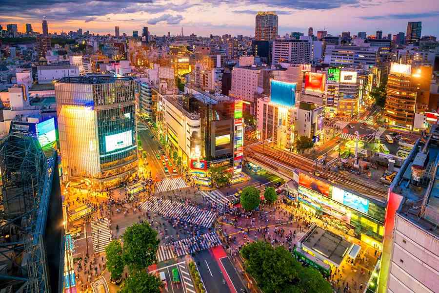Explore the trendy neighborhood of Shibuya